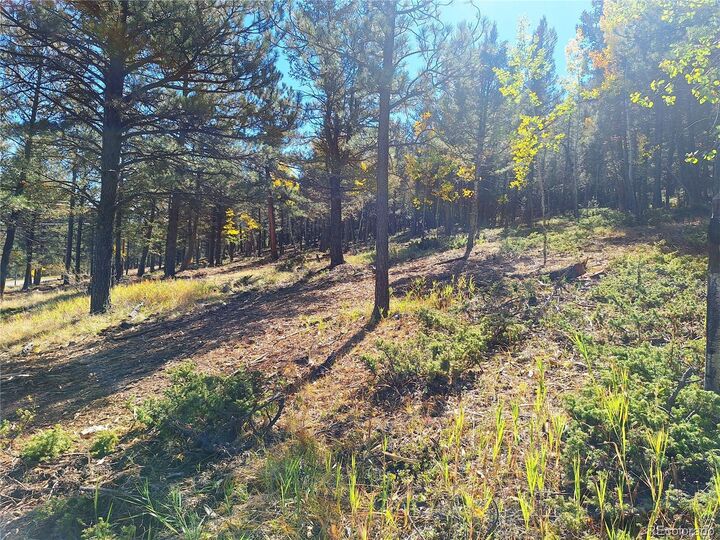 Property Photo: 1504 County Road 43 CO 80421