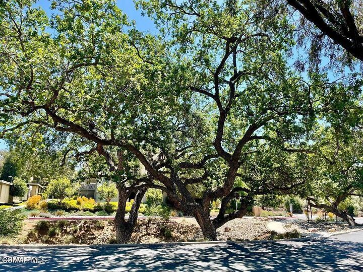 Property Photo:  460 Arbor Lane Court 204  CA 91360