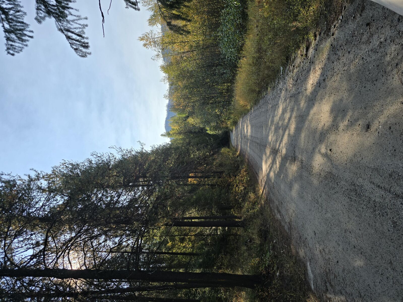 Property Photo:  1622 T Clugston-Onion Crk Rd  WA 99114