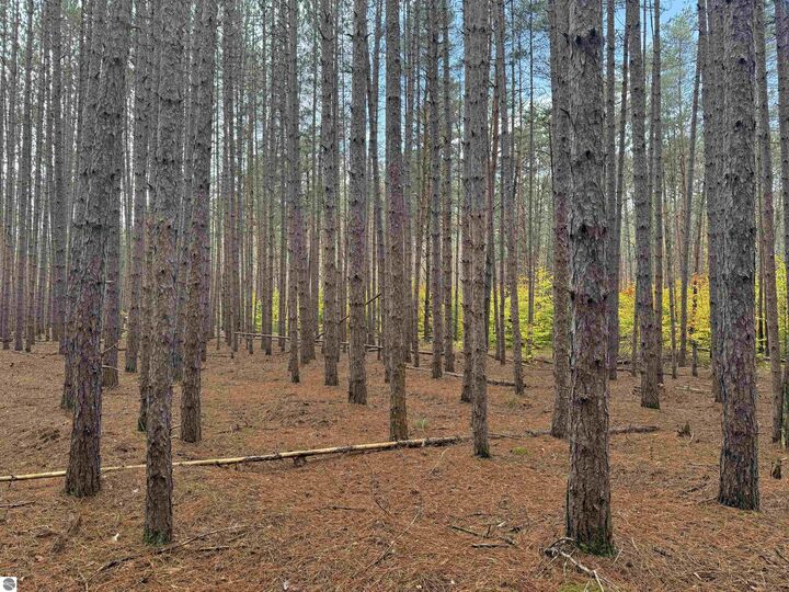 Property Photo:  0 Deer Run Drive  MI 49601 