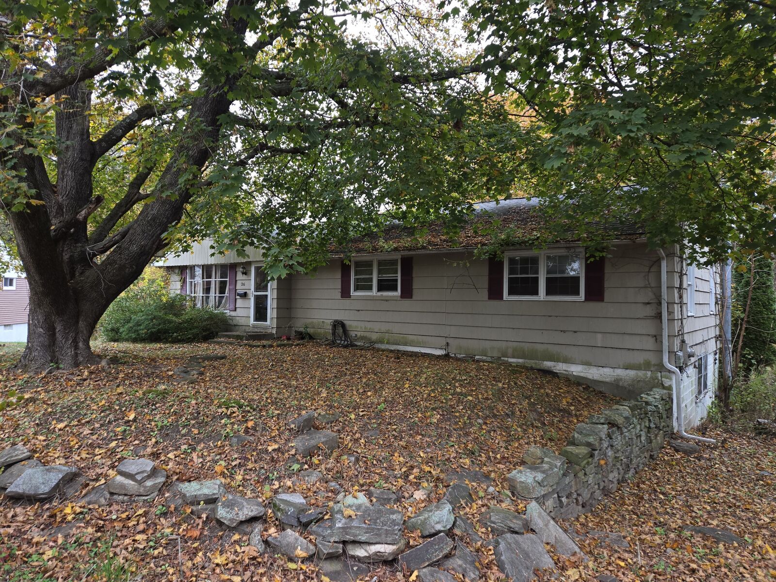 Property Photo:  26 Dydo Drive  CT 06382