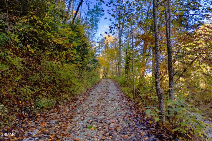 Property Photo: 5.37 Acres Reece Hollow TN 37727