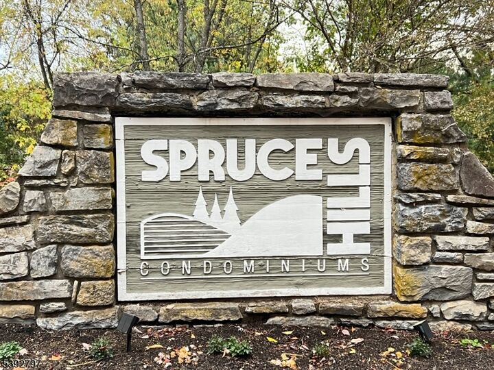 Property Photo:  401 Spruce Hills Dr  NJ 08826 