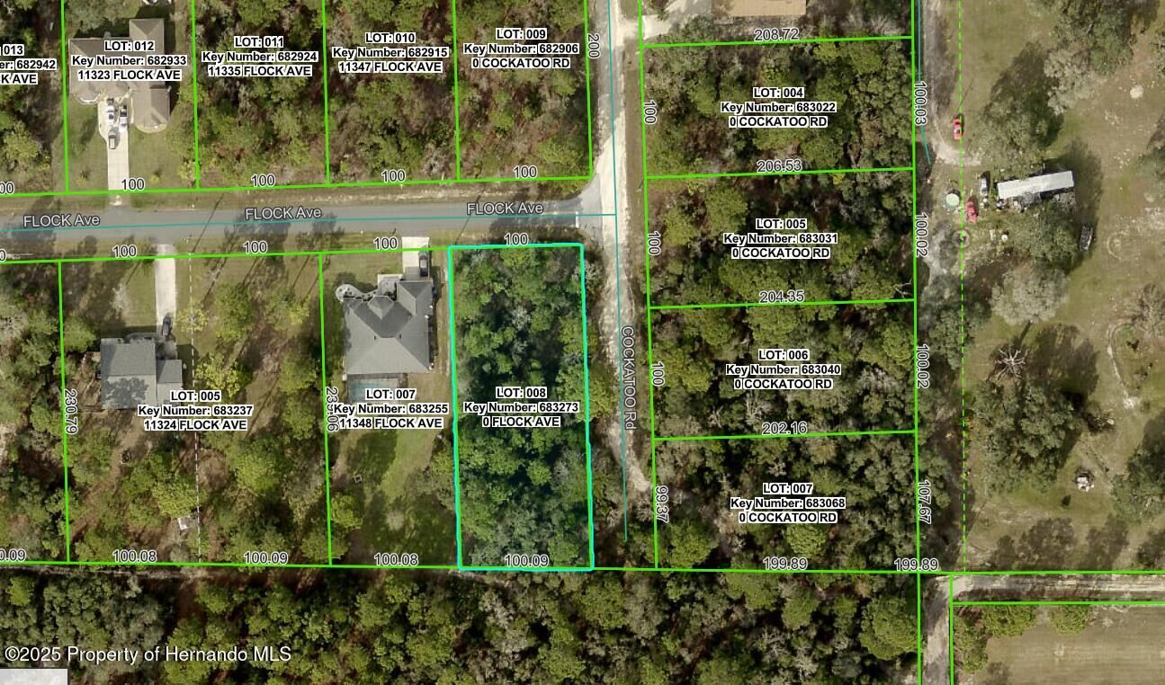 Property Photo:  Lot 8 Flock Avenue  FL 34613 