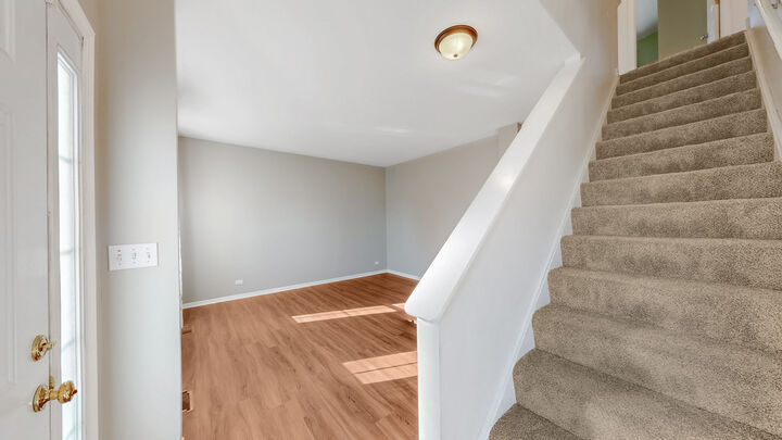 Property Photo:  225 Mondovi Drive  IL 60543 