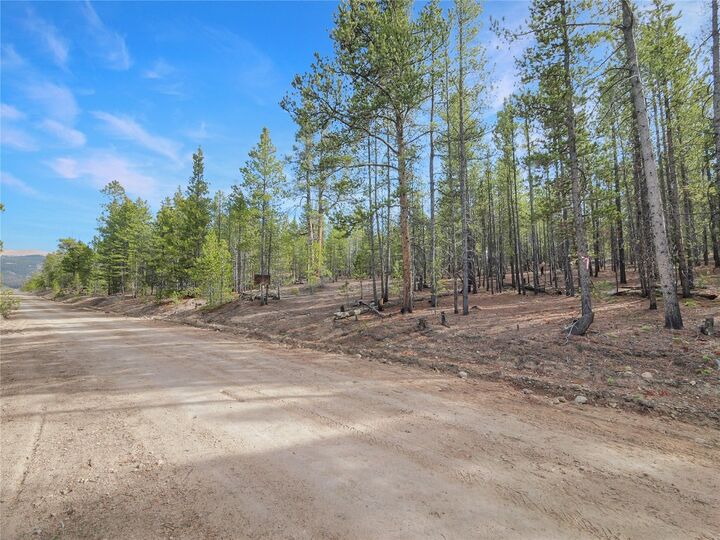 Property Photo:  198 Fir Drive  CO 80461