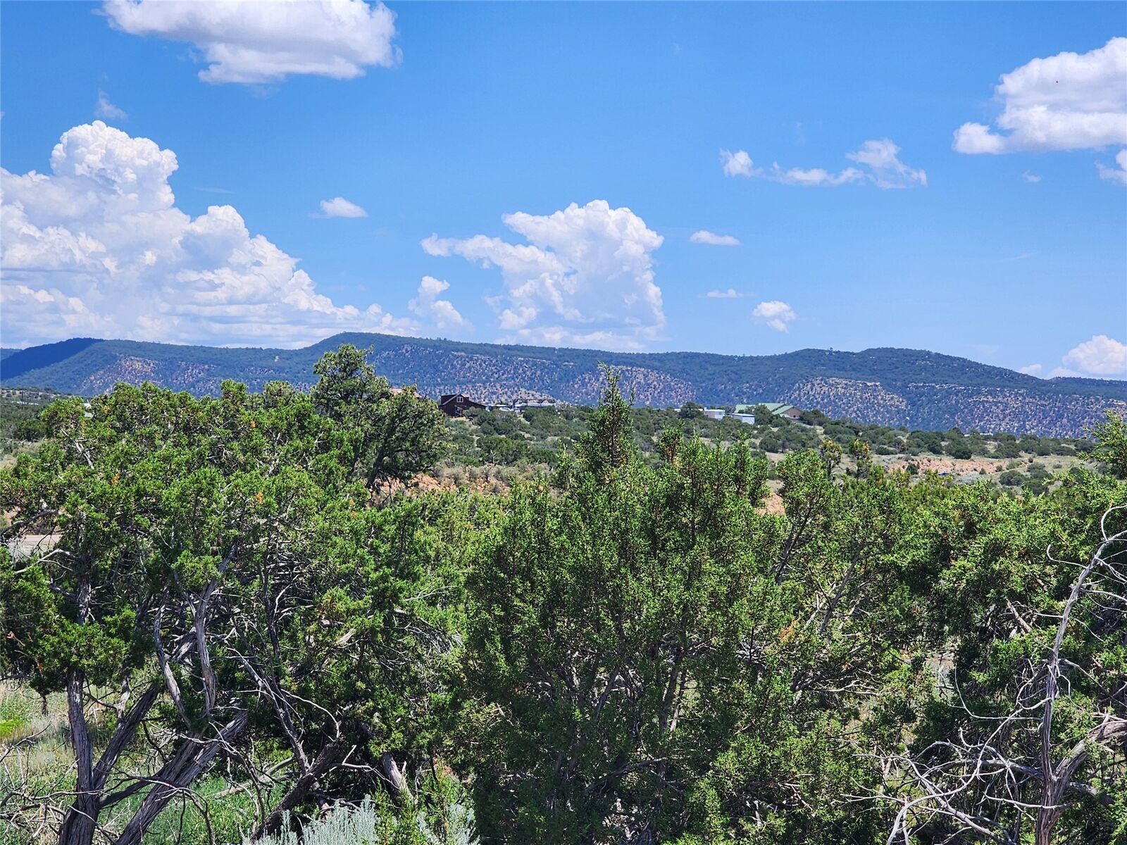 Property Photo: 20 Goathead Ct NM 87508
