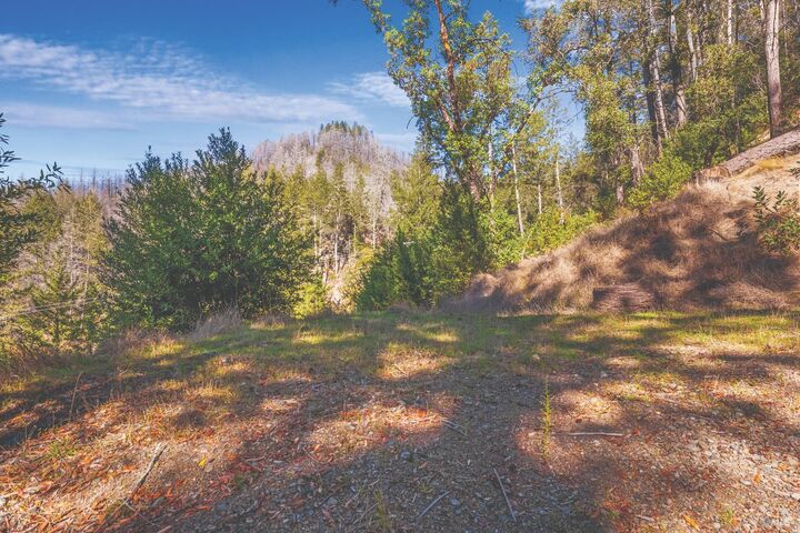 Property Photo:  6581 St Helena Road  CA 95404