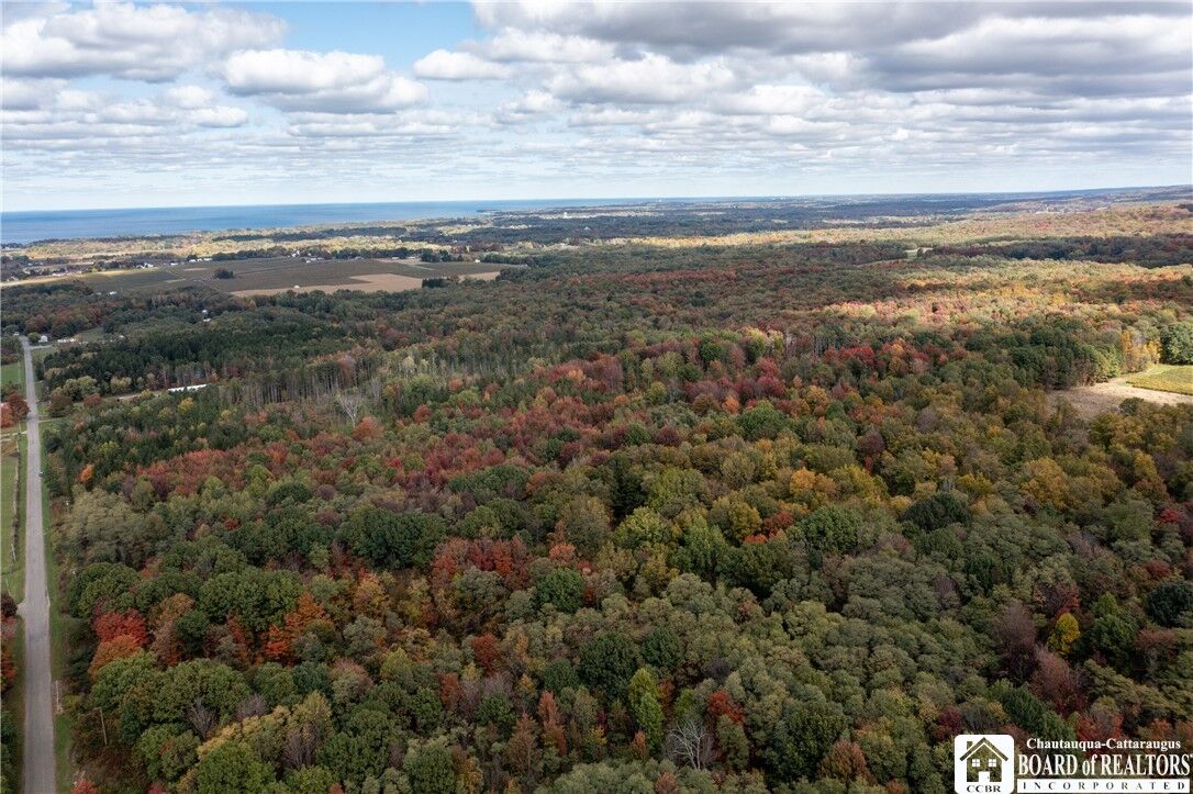 Property Photo:  8170 Campbell Road  NY 14769