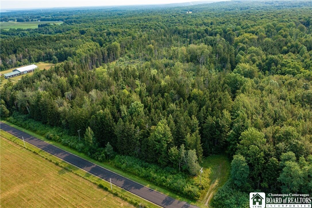 Property Photo: 8170 Campbell Road NY 14769