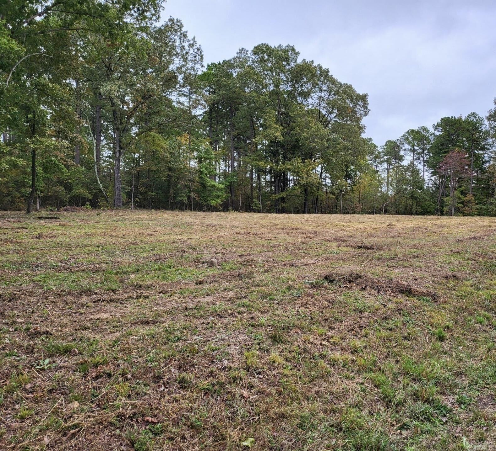 Property Photo:  Lot 53 Burning Tree Rd.  AR 72067 