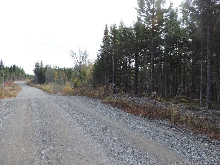Property Photo:  - Old Gardner Creek Road  NB E2S 2C8 