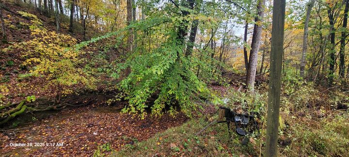 Property Photo: 1121 Breeding Road KY 42129