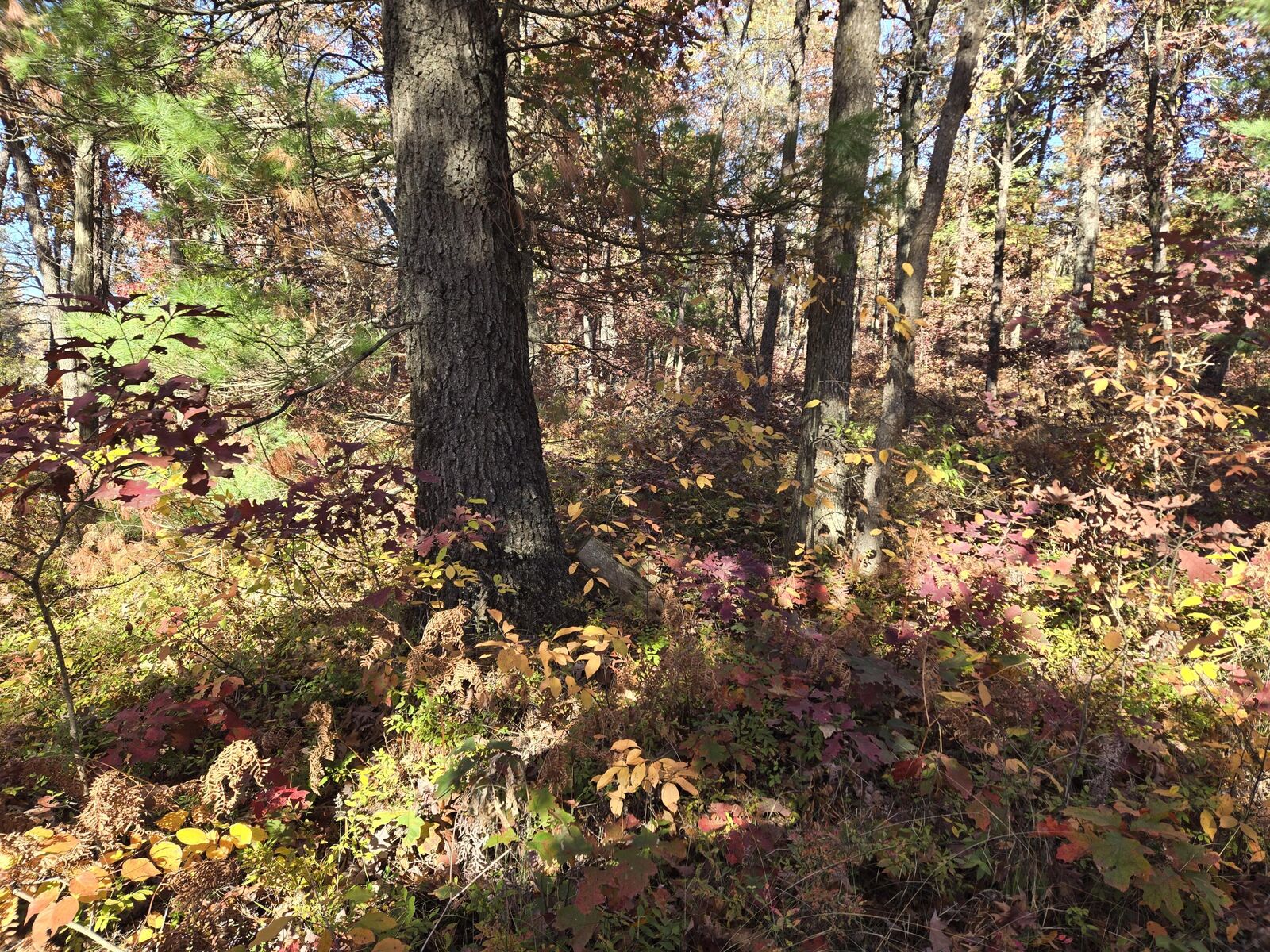 Property Photo:  V/L M37  MI 49304 