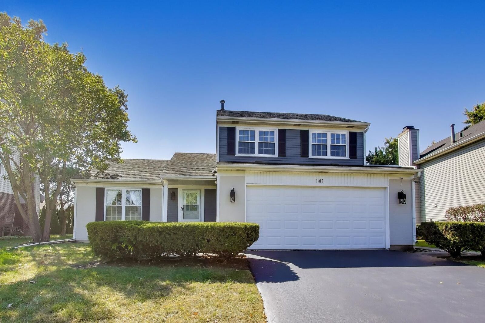 Property Photo: 141 Rumsey Place IL 60559