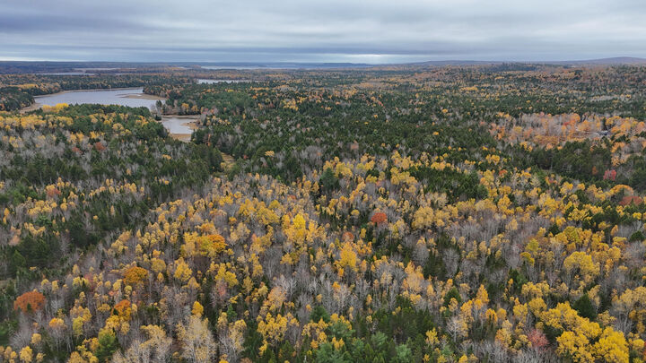 Property Photo:  Lot 3-B West Branch Road  ME 04605