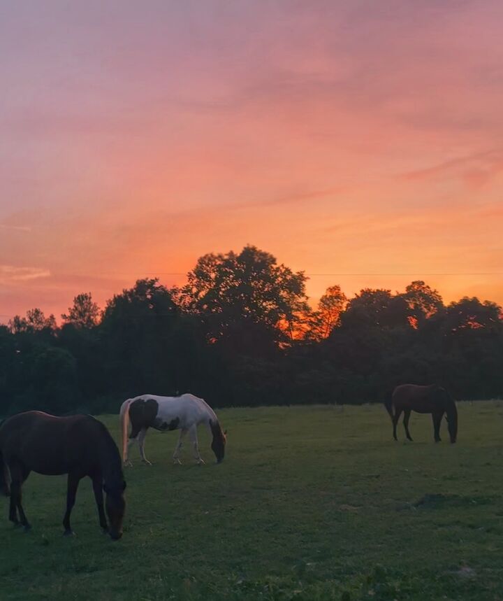 Property Photo:  7924 Nolensville Rd  TN 37014