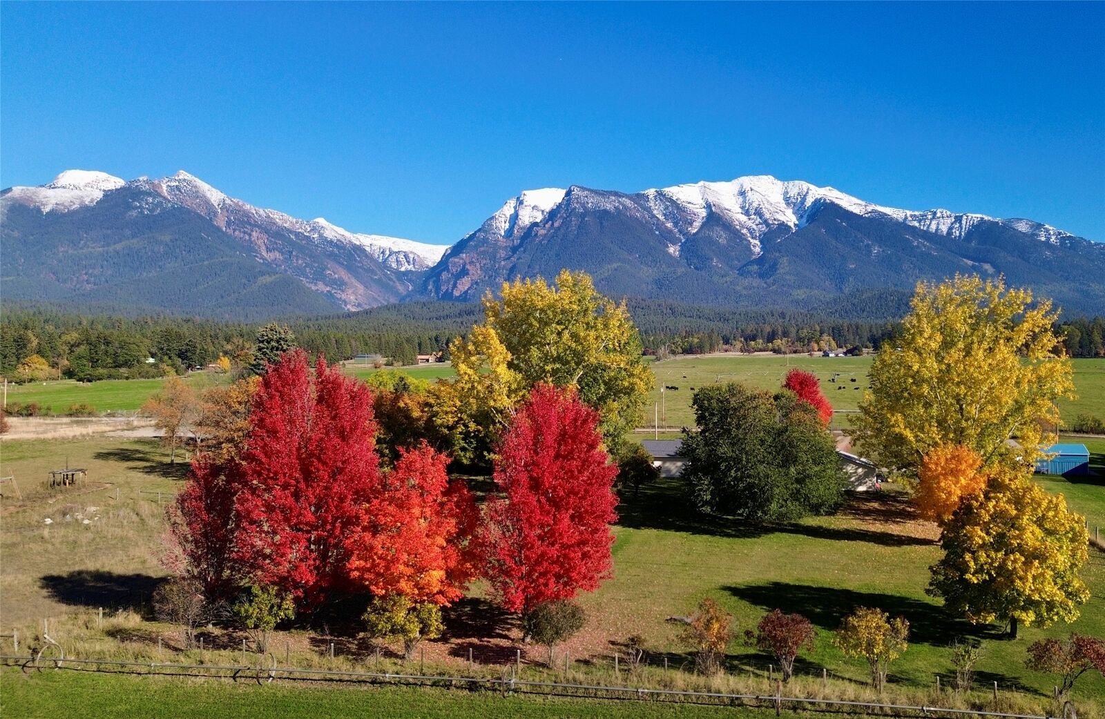 Property Photo:  62599 Wild Rose Lane  MT 59865 