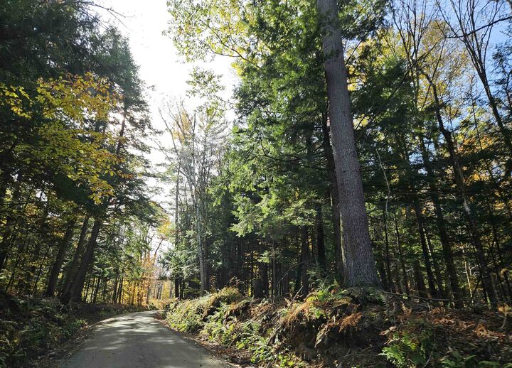 Property Photo:  47 Highbridge Road  NH 03768 