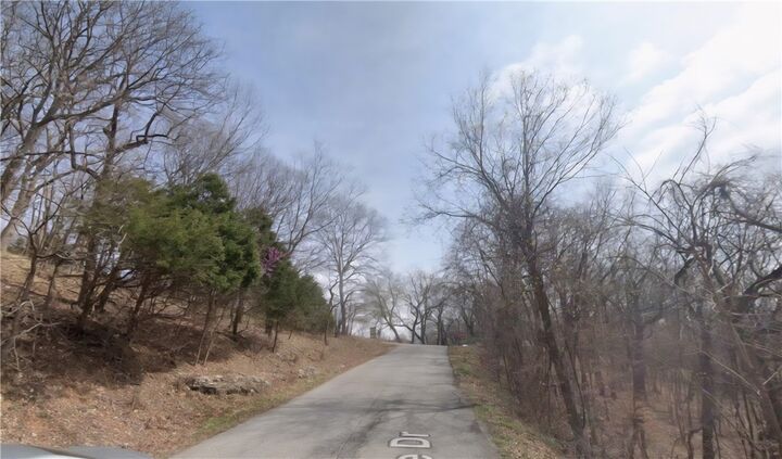 Property Photo:  296 Holiday Island Drive  AR 72631 