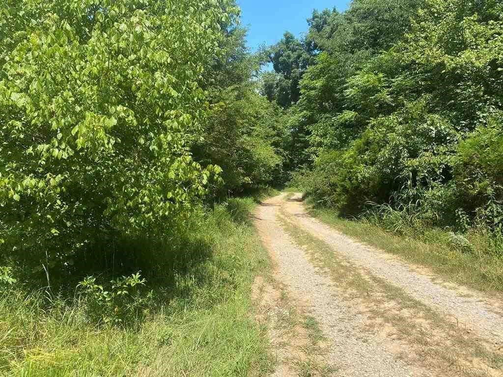 Property Photo:  Lot 11 Hamilton-Lee Road  KY 42256 