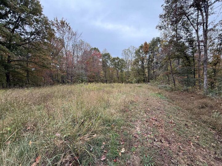 Property Photo:  12269 Cub Run Highway  KY 42729