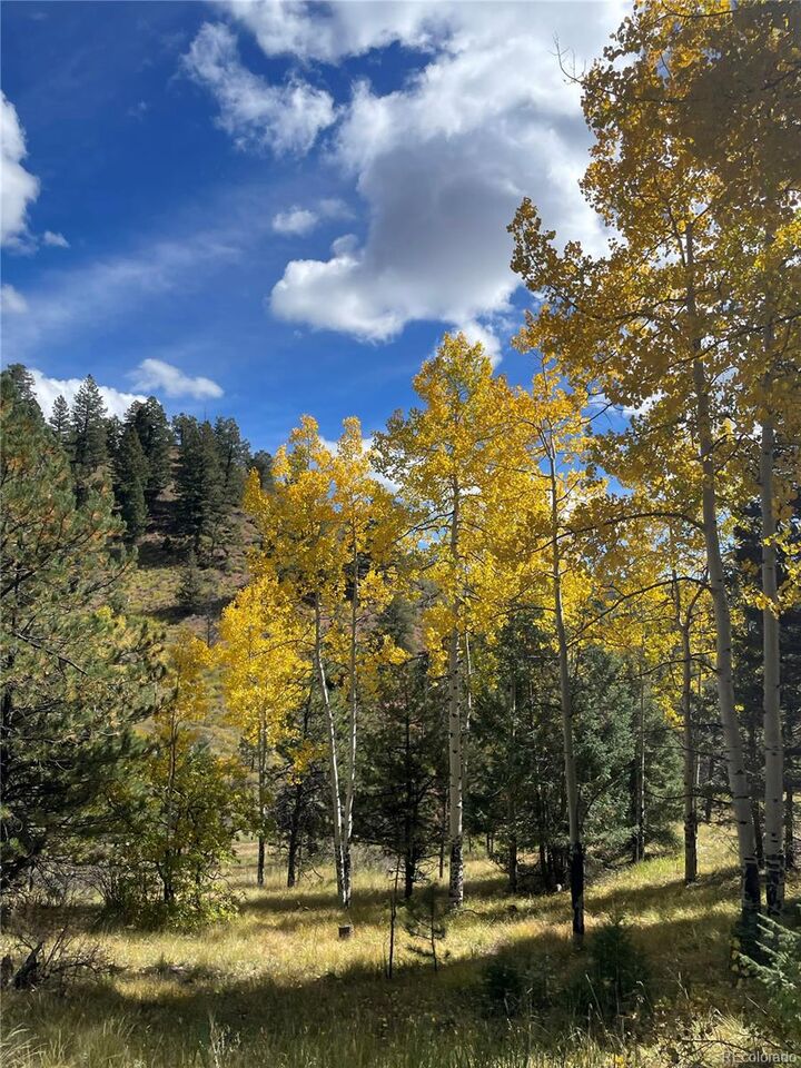 Property Photo:  1342 Old Crystola Canyon Road  CO 80863 