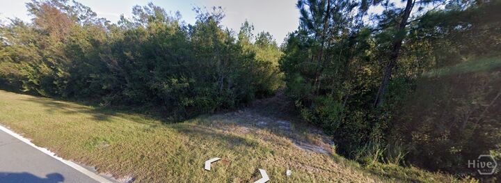Property Photo:  21.57 Ac John Wells Road  GA 31313