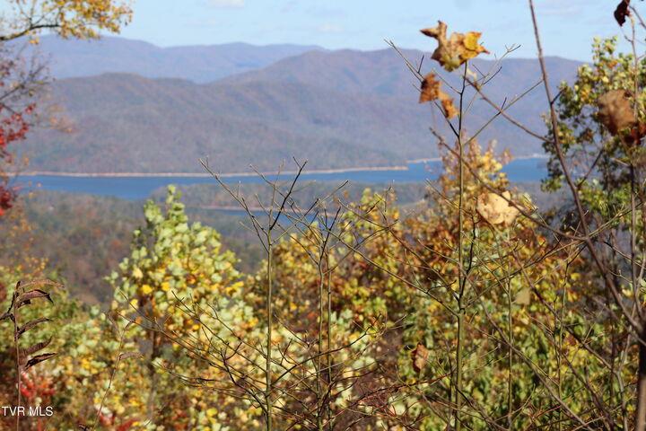 Property Photo:  48 Locust Lane  TN 37640 