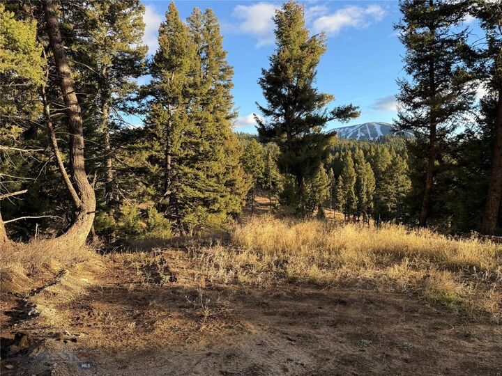 Property Photo:  Lot 4 Scranton Lode  MT 59858 