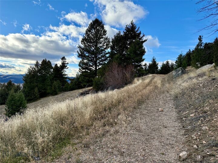 Property Photo:  Lot 1 Scranton Lode  MT 59858 