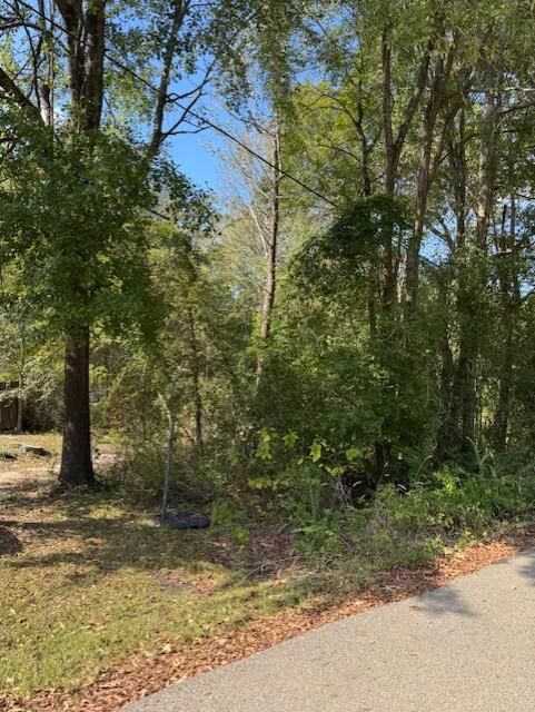 Property Photo: 113 Arizona Avenue TX 75949