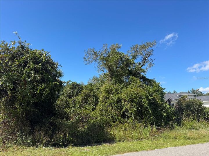 Property Photo:  Lot 6 Saturday Street  FL 34288 