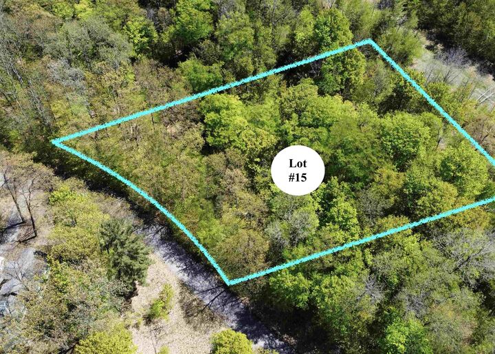 Property Photo:  Unit 6 S Club Drive 6 Lot 6  MI 49621