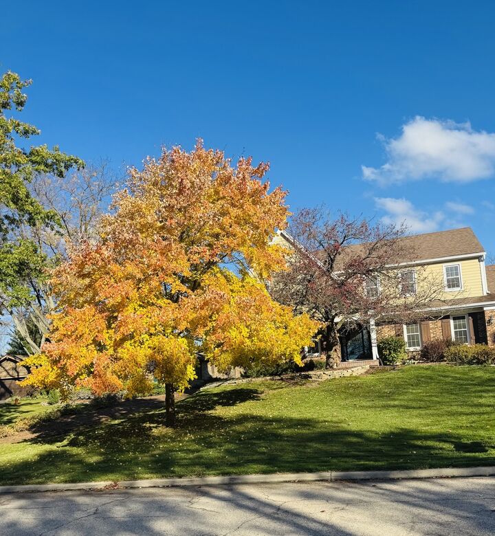 Property Photo:  540 Fox Glove Lane  IL 60010 