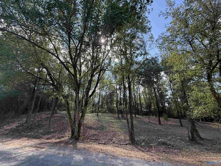 Property Photo:  #12B County Road 1123  AL 35179 