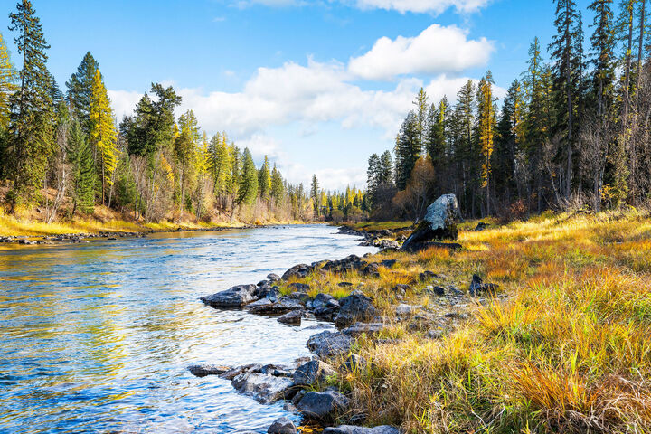 Nhn Watchman Way  Bigfork MT 59911 photo