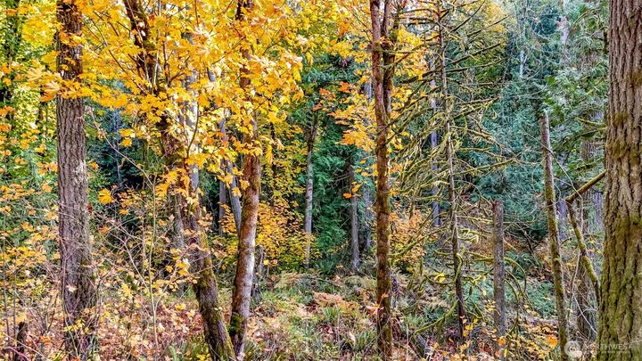 Property Photo:  18313  Patterson Road E  WA 98360