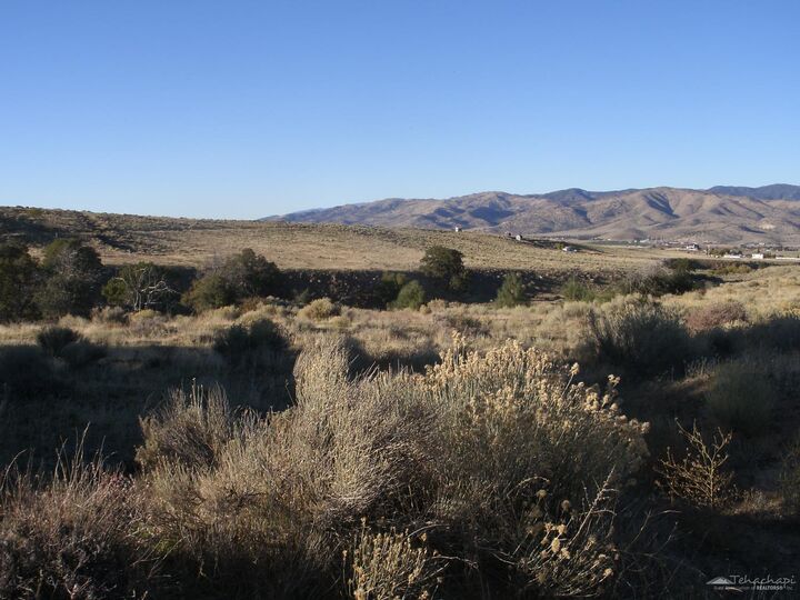 Property Photo:  0 Summers Drive  CA 93561 