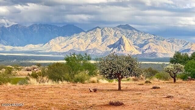 Property Photo:  5811 S Atascosa Peak Drive  AZ 85622 