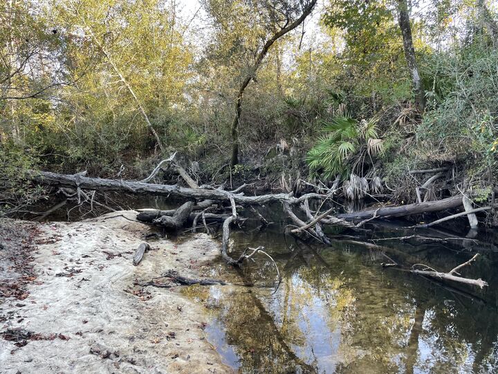 Property Photo:  11036 Dartmouth Place  FL 32404