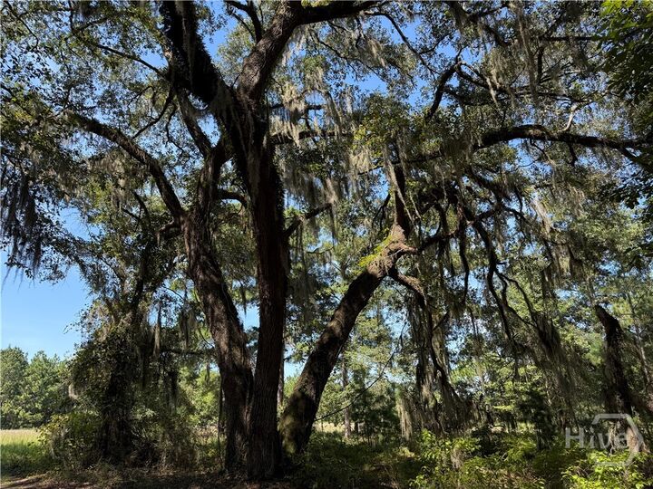 Property Photo:  0 Sunbury Road Tract 6  GA 30417 