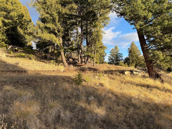 Property Photo:  Lot 4 Scranton Lode  MT 59858 