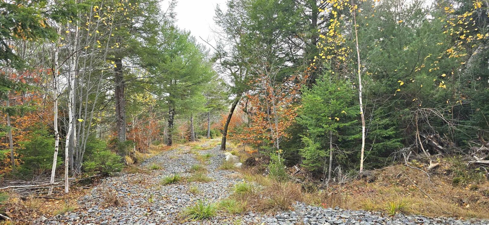 Property Photo:  Lot 24 Russells Cove Road  NS B0R 1A0 