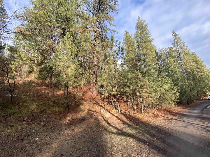 Property Photo:  10xx S Azalea Dr  WA 99224 