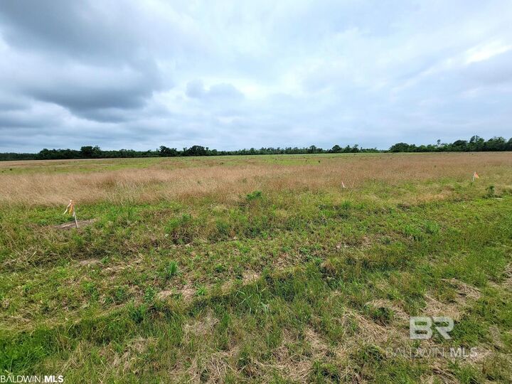 Property Photo:  0 County Road 16  AL 36535 