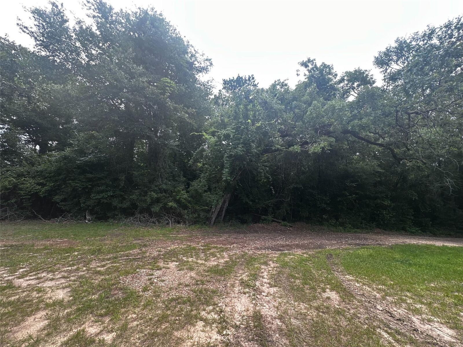 Property Photo: Tbd Old Israel Road TX 77351