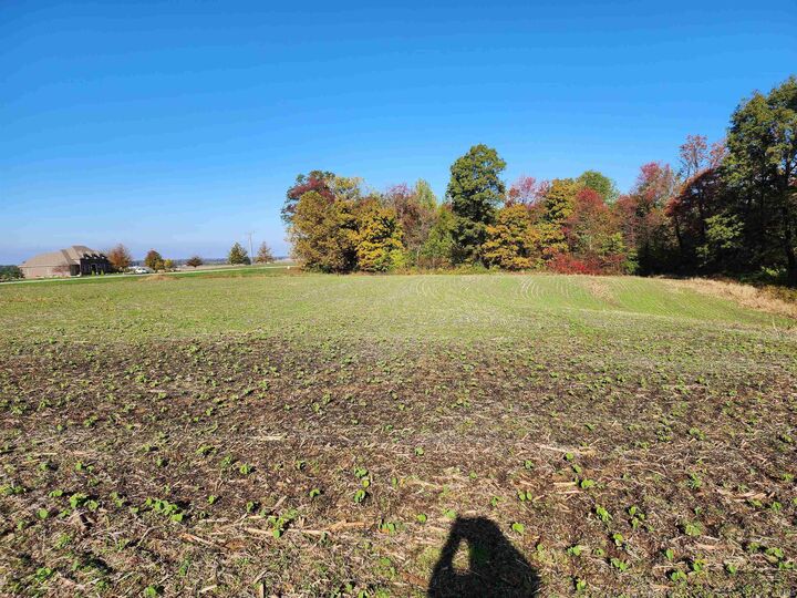 Property Photo:  0 Owensville Road  IN 47639 