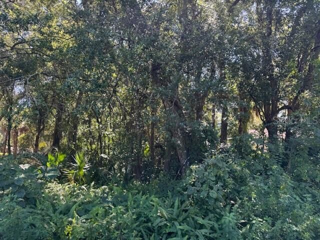 Property Photo: Beau Court FL 32763