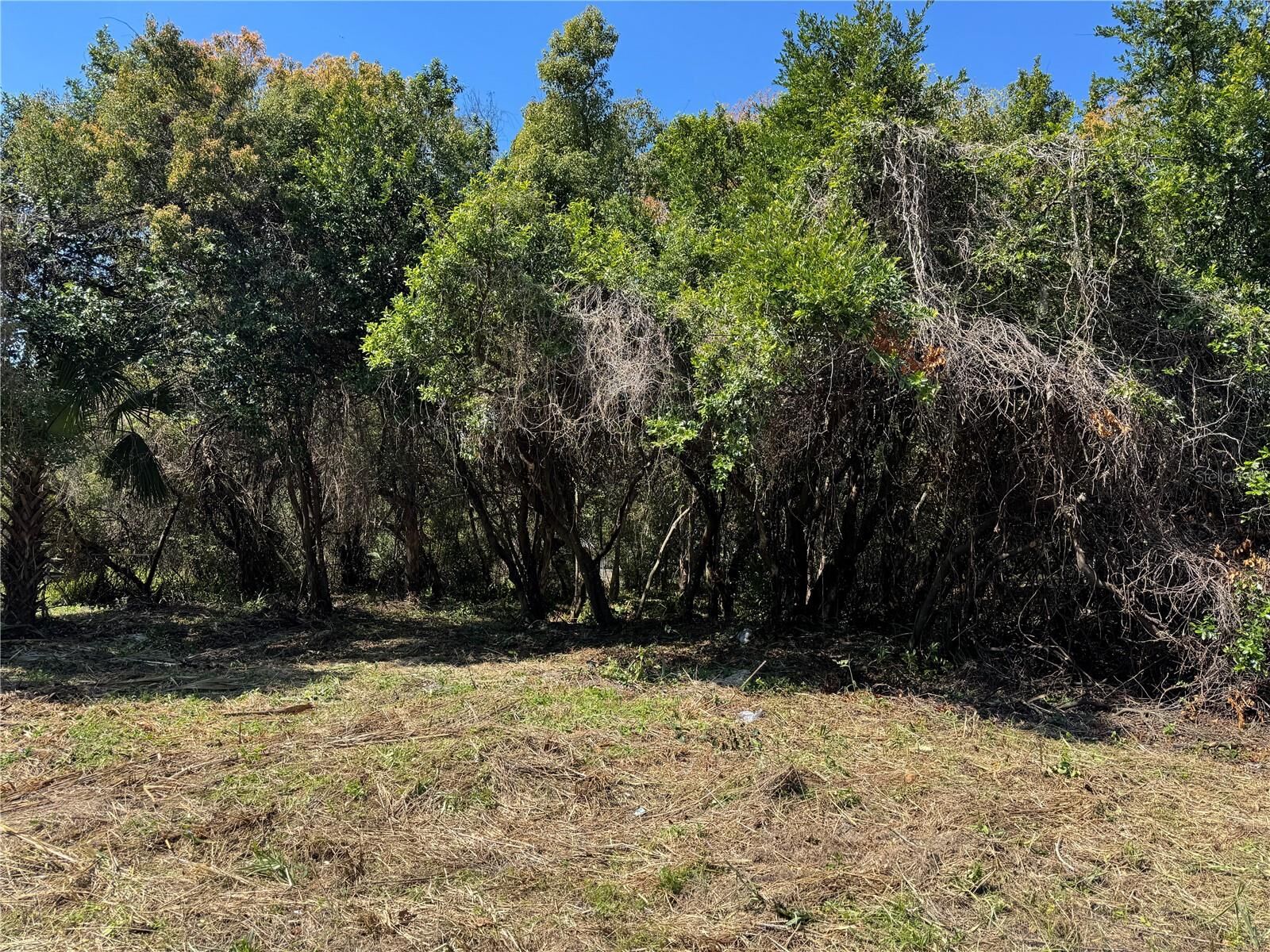 Property Photo:  Beau Court  FL 32763 